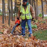 ECHO 170 MPH 453 CFM 25.4 cc Gas Engine Heavy Duty Durable Handheld Light Weight Leaf Blower